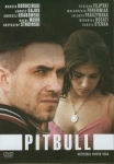 pitbull-1.jpg