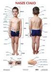 plansza-nasze-cialo-our-body.jpg
