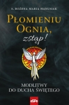 plomieniu-ognia-zstap.jpg