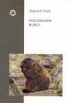 pod-okapem-burzy.jpg