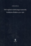 pod-rzadami-nieobecnego-monarchy-krolestwo-polskie-1370-1382.jpg