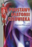 podstawy-anatomii-czlowieka-4.jpg