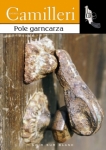 pole-garncarza-1.jpg