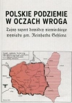 polskie-podziemie-w-oczach-wroga.jpg