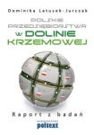 polskie-przedsiebiorstwa-w-dolinie-krzemowej.jpg