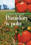 pomidory-w-polu.jpg