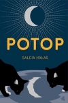 potop-17.jpg