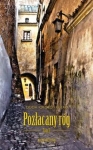 pozlacany-rog-tom-2.jpg