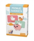 poznaje-zwierzeta-6.jpg