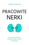 pracowite-nerki.jpg