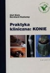 praktyka-kliniczna-konie.jpg