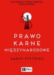 prawo-karne-miedzynarodowe.jpg
