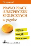 prawo-pracy-i-ubezpieczen-spolecznych-w-pigulce.jpg