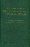 prawo-pracy-miedzy-gospodarka-a-ochrona-pracy.jpg