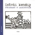 programy-w-labiryncie.jpg