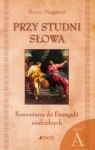 przy-studni-slowa-komentarze-do-ewangelii-niedzielnych.jpg