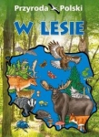 przyroda-polski-w-lesie.jpg