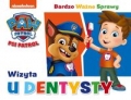 psi-patrol-bardzo-wazne-sprawy-nr-3-wizyta-u-dentysty.jpg
