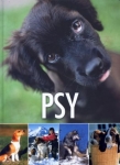 psy-10.jpg