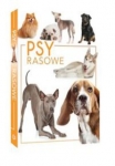 psy-rasowe-5.jpg
