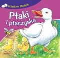 ptaki-i-ptaszyska.jpg