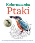 ptaki-kolorowanka.jpg