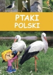 ptaki-polski-4.jpg