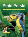 ptaki-polski-mala-encyklopedia-ilustrowana-3.jpg
