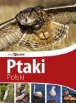 ptaki-polski-piekna-polska.jpg