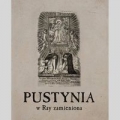 pustynia-w-ray-zamieniona.jpg