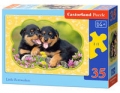 puzze-little-rottweilers-35.jpg