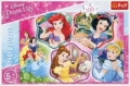 puzzle-100-magia-ksiezniczek-disney-ksiezniczki.jpg