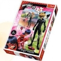 puzzle-100-przygody-ladybug-i-cat-noir.jpg