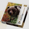 puzzle-1000-grizzly-alaska-usa-nature-limited-edition-wild-royals.jpg