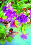 puzzle-1000-kolibry.jpg