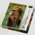puzzle-1000-lew-kenia-nature-limited-edition-wild-royals.jpg