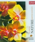 puzzle-1000-nature-orchidea.jpg