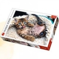 puzzle-1000-wesoly-kotek.jpg