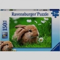 puzzle-150-cudowne-kroliczki.jpg