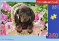 puzzle-260-cute-daschshund.jpg