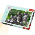 puzzle-260-kocia-przyjazn.jpg