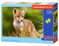 puzzle-260-little-fox-on-the-meadow.jpg