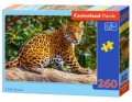 puzzle-260-little-jaguar.jpg