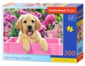 puzzle-300-elementowe-labrador-puppy-in-pink-box-b-030071.jpg