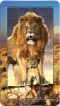 puzzle-3d-lew-32.jpg