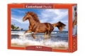 puzzle-500-horse-on-the-beach-1.jpg