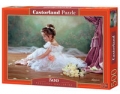 puzzle-500-peaceful-ballerina.jpg