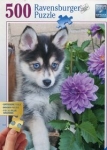 puzzle-500-szczeniak-husky-1.jpg