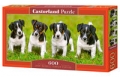 puzzle-600-jack-russell-terrier-puppies.jpg