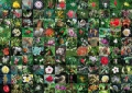 puzzle-blossoms-1000.jpg
